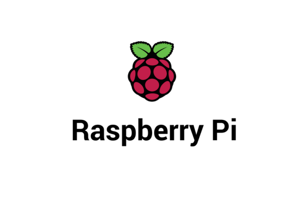 Raspberry Pi logo 2